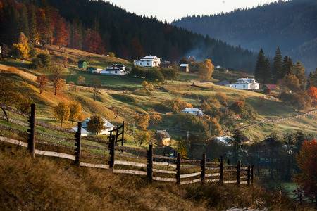 45256496 - small village in autumn carpathian mountains
